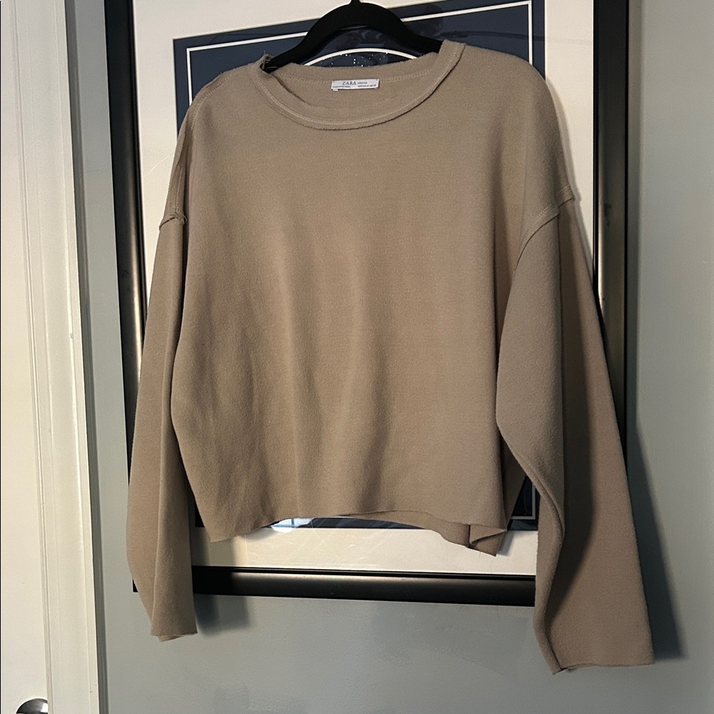 Zara Tan Cropped Sweater
